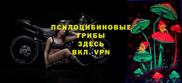 молекула духа Володарск