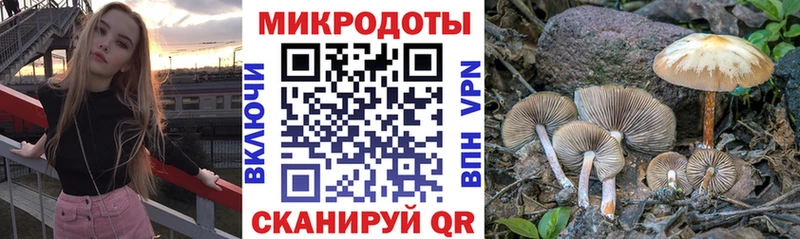 Купить где  Алейск  Галлюциногенные грибы Magic Shrooms 